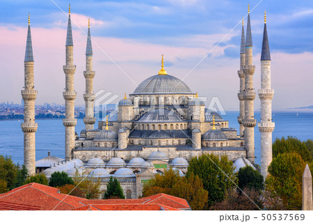 Blue Mosque and Bosporus, Istanbul, Turkey 50537569