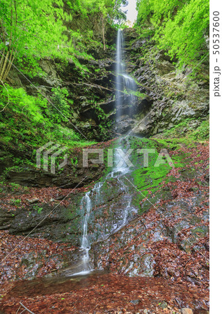 Valea lui Stan Gorge in Romania Valea lui Stan Gorge in Romania 50537600