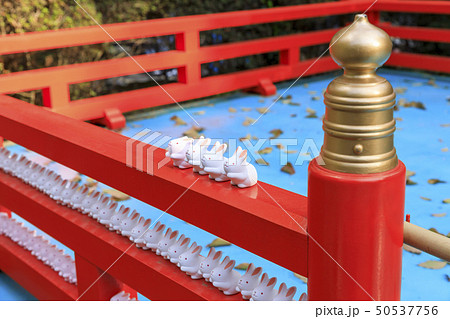 京都・岡崎神社 京都・岡崎神社 50537756