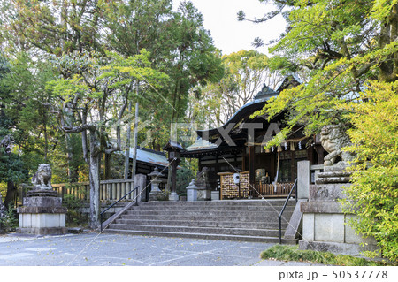 京都・岡崎神社・拝殿 50537778