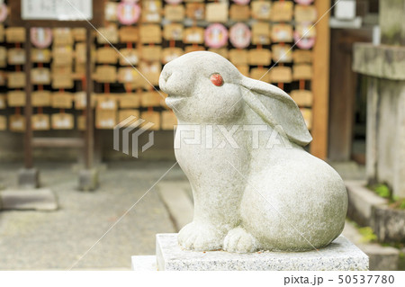 京都・岡崎神社・狛うさぎ 50537780