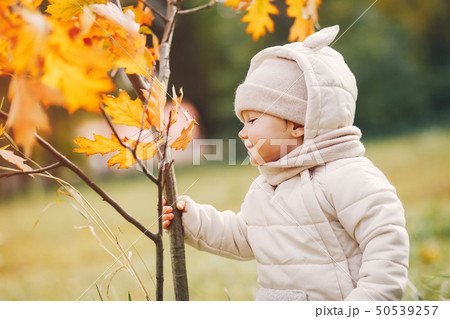 Little girl in a autumn park 50539257