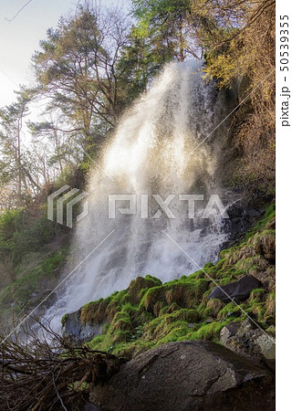 夕暮れの乙女滝(長野県・4月) 夕暮れの乙女滝(長野県・4月) 50539355