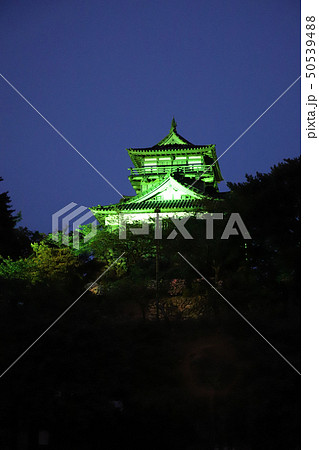 丸岡城 天守閣のライトアップ（福井県 坂井市 丸岡町） 50539488