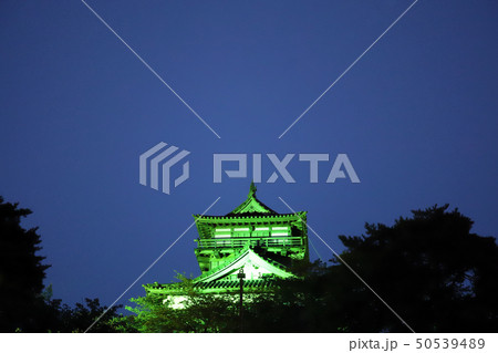 丸岡城 天守閣のライトアップ（福井県 坂井市 丸岡町） 50539489