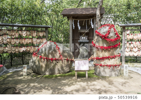 葛原岡神社の縁結び石(鎌倉市梶原) 葛原岡神社の縁結び石(鎌倉市梶原) 50539916