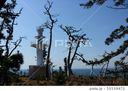 気仙沼大島龍舞崎 気仙沼大島龍舞崎 50539973