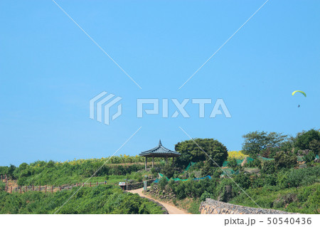 風景 観光 風 50540436