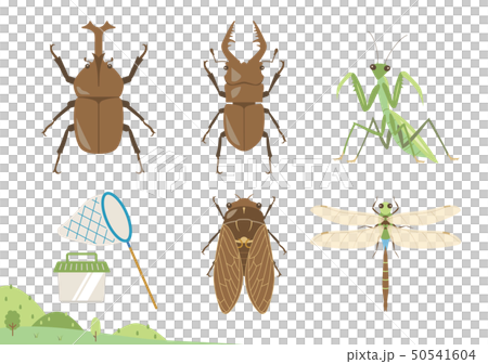 夏の昆虫のイラストセット カブトムシ クワガタムシ カマキリ セミ トンボのイラスト素材