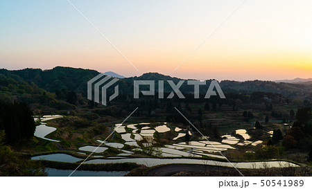 日本の絶景新潟県十日町市星峠の棚田の朝焼け 50541989