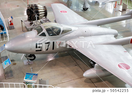 バンパイア 50542255