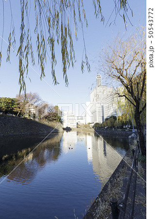 都市風景(東京都、大手町、冬) 都市風景(東京都、大手町、冬) 50543772