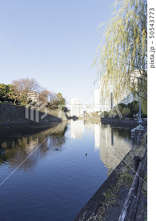 都市風景（東京都、大手町、冬） 50543773