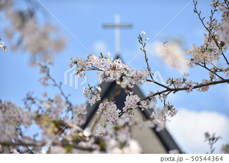 日本基督教団 富士見町教会 50544364