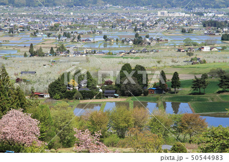 安曇野の春 田植えのころ 安曇野の春 田植えのころ 50544983