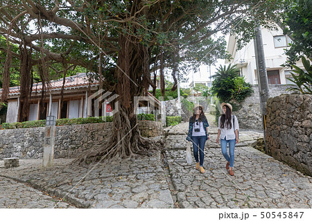 沖縄を旅する二人の女性 50545847