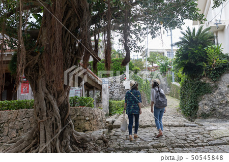 沖縄を旅する二人の女性 50545848