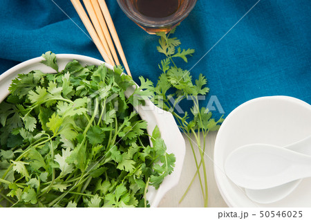 パクチー鍋のイメージ 50546025