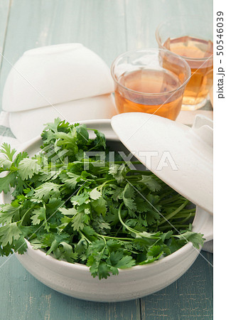 パクチー鍋のイメージ 50546039
