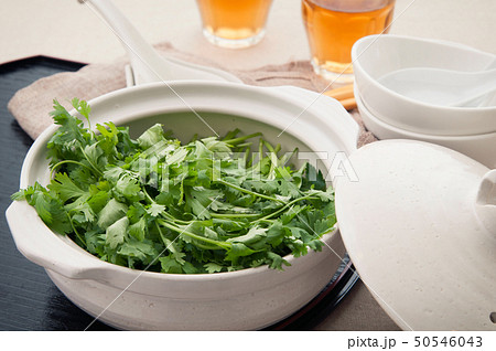 パクチー鍋のイメージ パクチー鍋のイメージ 50546043