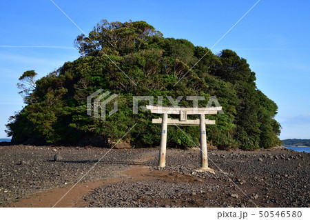 小島神社より 小島神社より 50546580