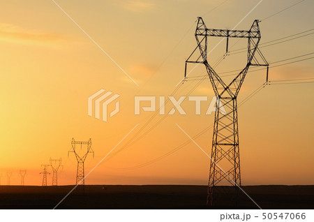 50547066