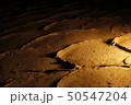模様 50547204