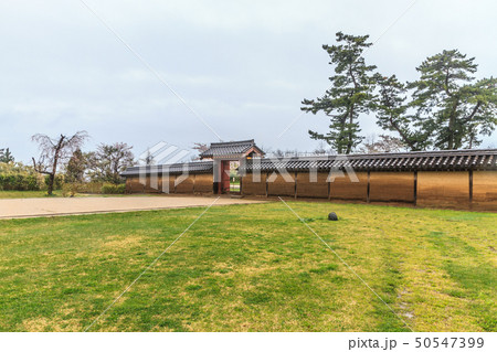 春の秋田城の復元された政庁跡の風景 50547399