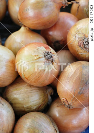 Fresh onion for cooking in the market Fresh onion for cooking in the market 50547638