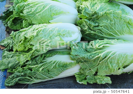 Fresh chinese cabbage for cooking in market 50547641