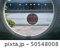 50548008