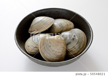 ホンビノス貝 ホンビノス貝 50548021