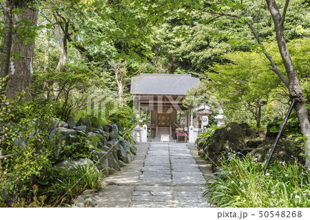 葛原岡神社(鎌倉市梶原) 葛原岡神社(鎌倉市梶原) 50548268