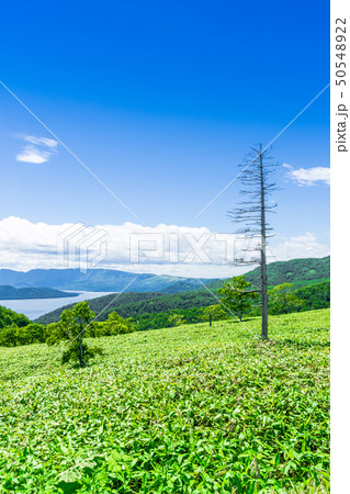 爽快　藻琴山展望台 50548922