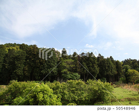 山の辺の道 50548946