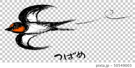 空を飛ぶ燕のイラスト 空を飛ぶ燕のイラスト 50549003