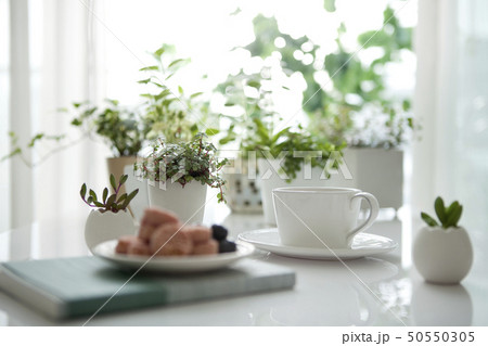 ティータイムイメージ 50550305