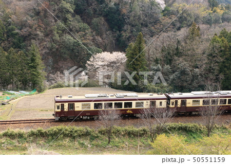 わたらせ渓谷鐵道「4月上旬の山間部風景を背景に」 わたらせ渓谷鐵道「4月上旬の山間部風景を背景に」 50551159