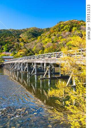 《京都府》渡月橋・嵐山 50551313