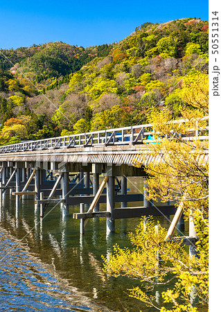 《京都府》渡月橋・嵐山 50551314