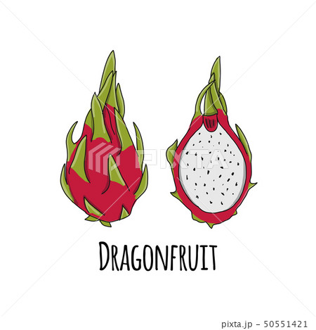 Dragonfruit, sketch for your design 50551421