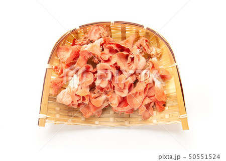 トキイロヒラタケ 50551524