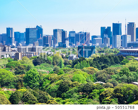 新緑と都市風景　東京（港区周辺） 50551768