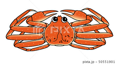 オスの蟹 crab キャラクター イラスト 50551901