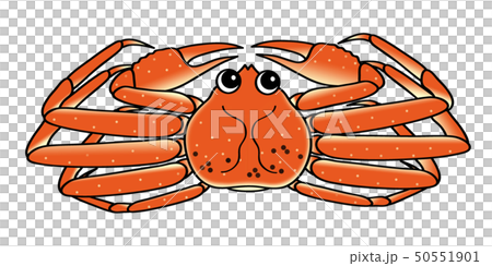 オスの蟹 crab キャラクター イラスト 50551901