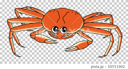 メスの蟹 Crab キャラクター イラストのイラスト素材