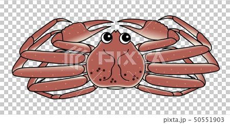 オスの蟹 crab キャラクター イラスト 50551903