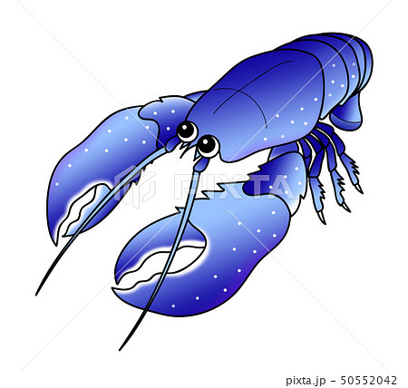 ロブスター Lobster オマール海老 キャラクター イラストのイラスト素材