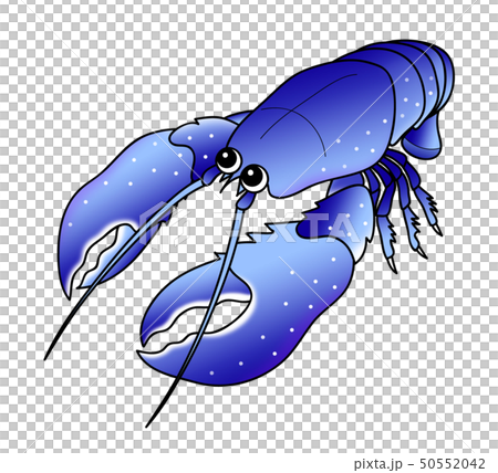 ロブスター lobster  オマール海老 キャラクター イラスト 50552042