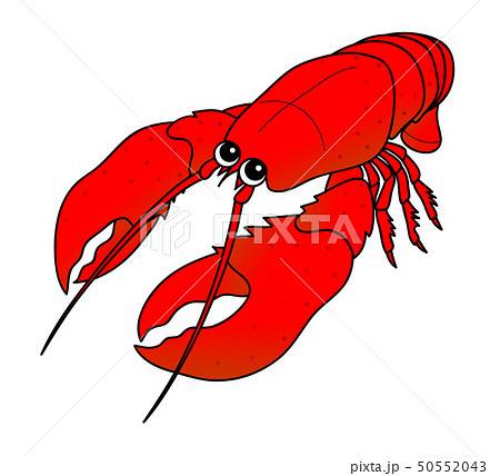 ロブスター Lobster イラストのイラスト素材